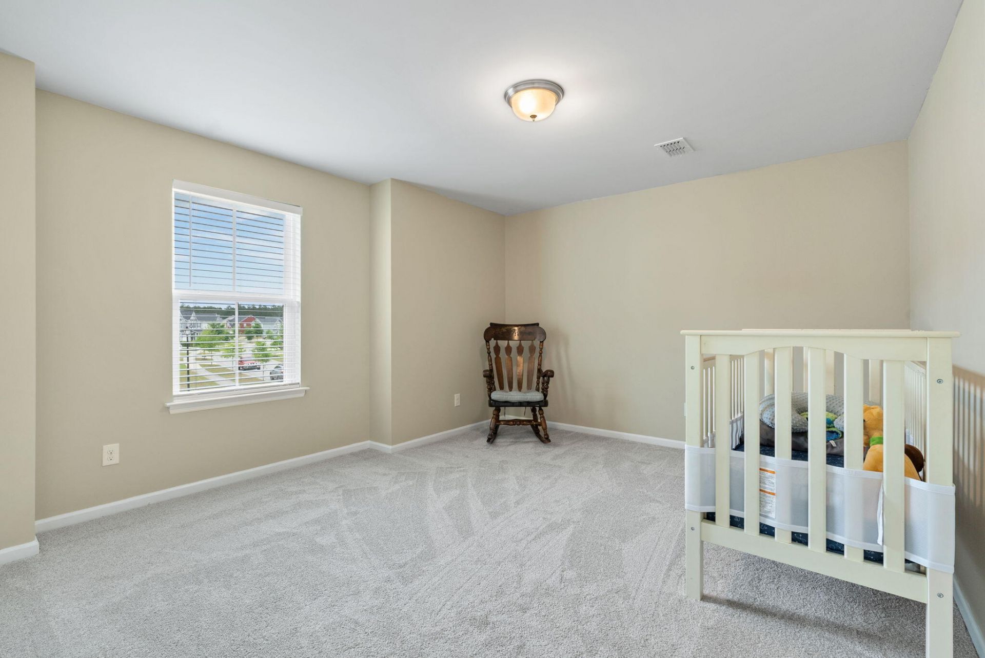 205 Basket Grass Lane Photo 43