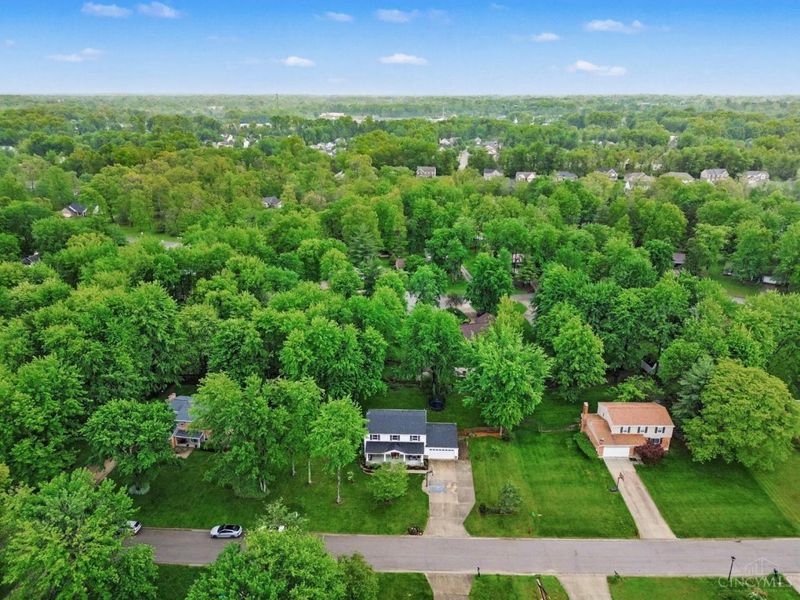 1117 Deerhaven Court, Miami Twp, OH 45140 Photo 29