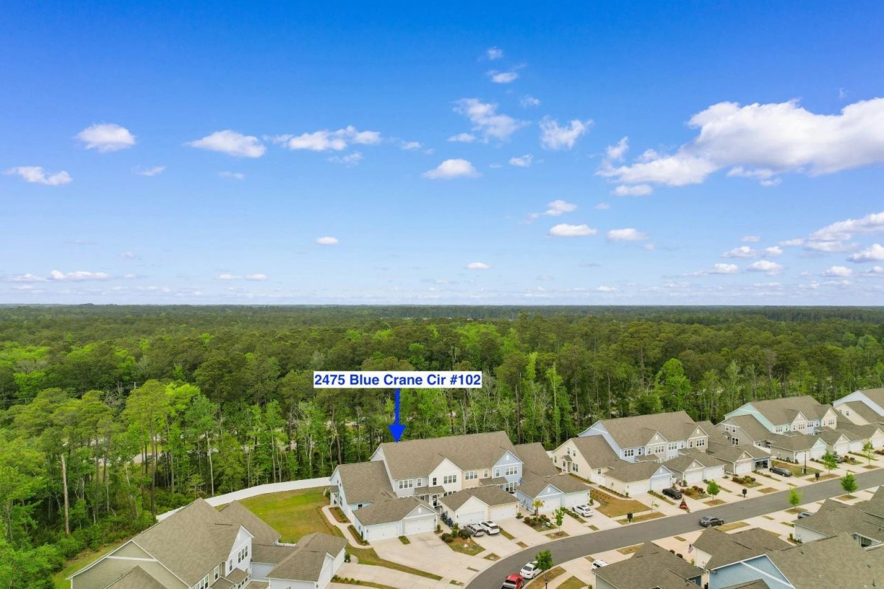 2475 Blue Crane Circle  Photo 33