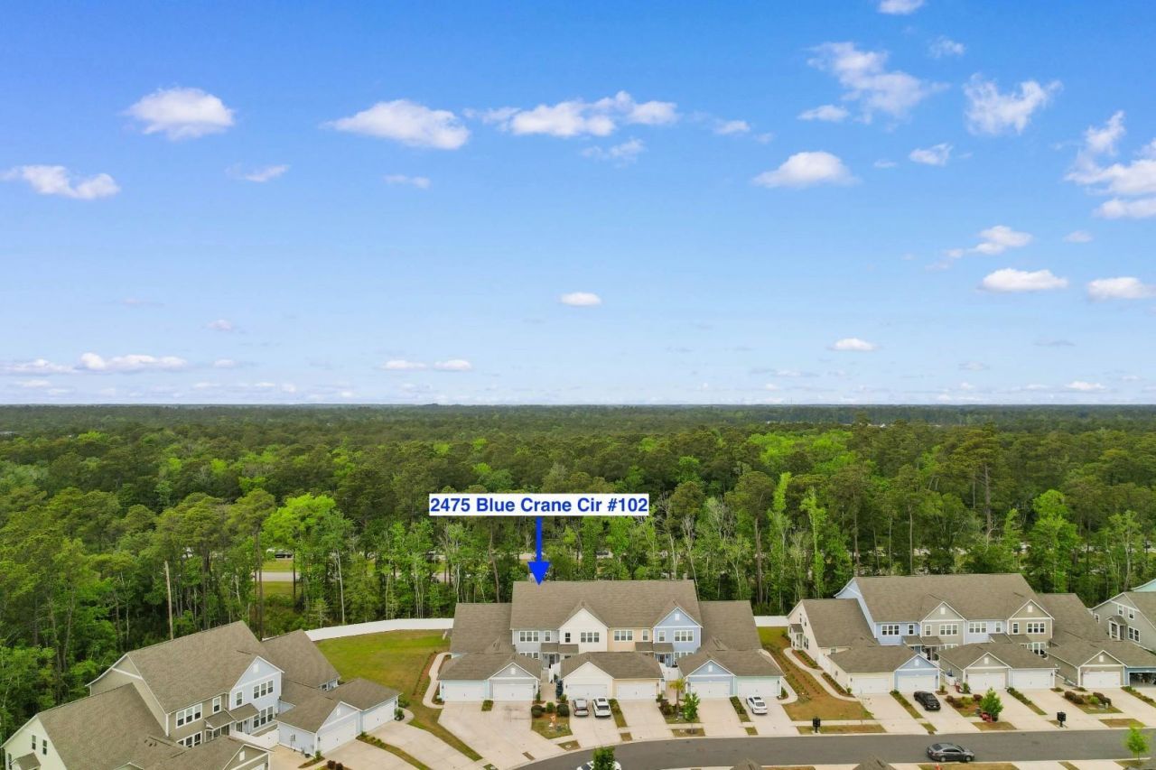 2475 Blue Crane Circle  Photo 34