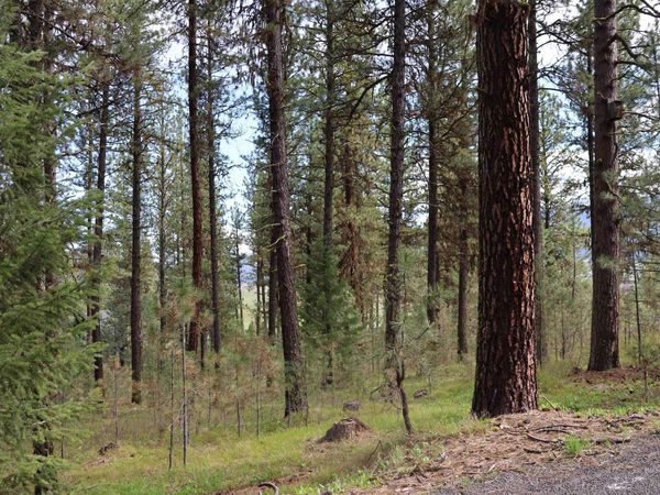 TBD Hot Springs Road, New Meadows, ID 83654