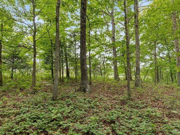 0 Old Number One Rd, Dickson, TN 37055