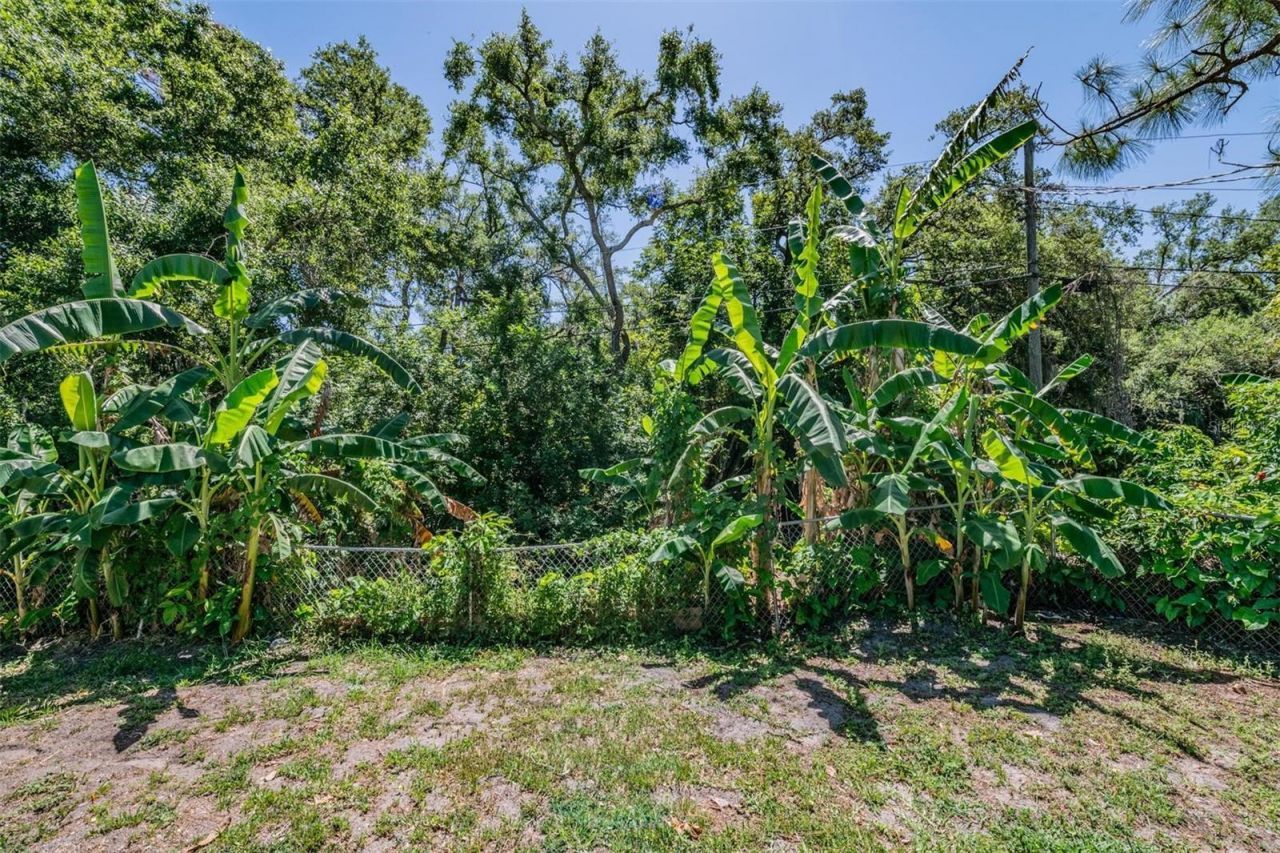 1124 Danny Drive, Sarasota, FL 34243 Photo