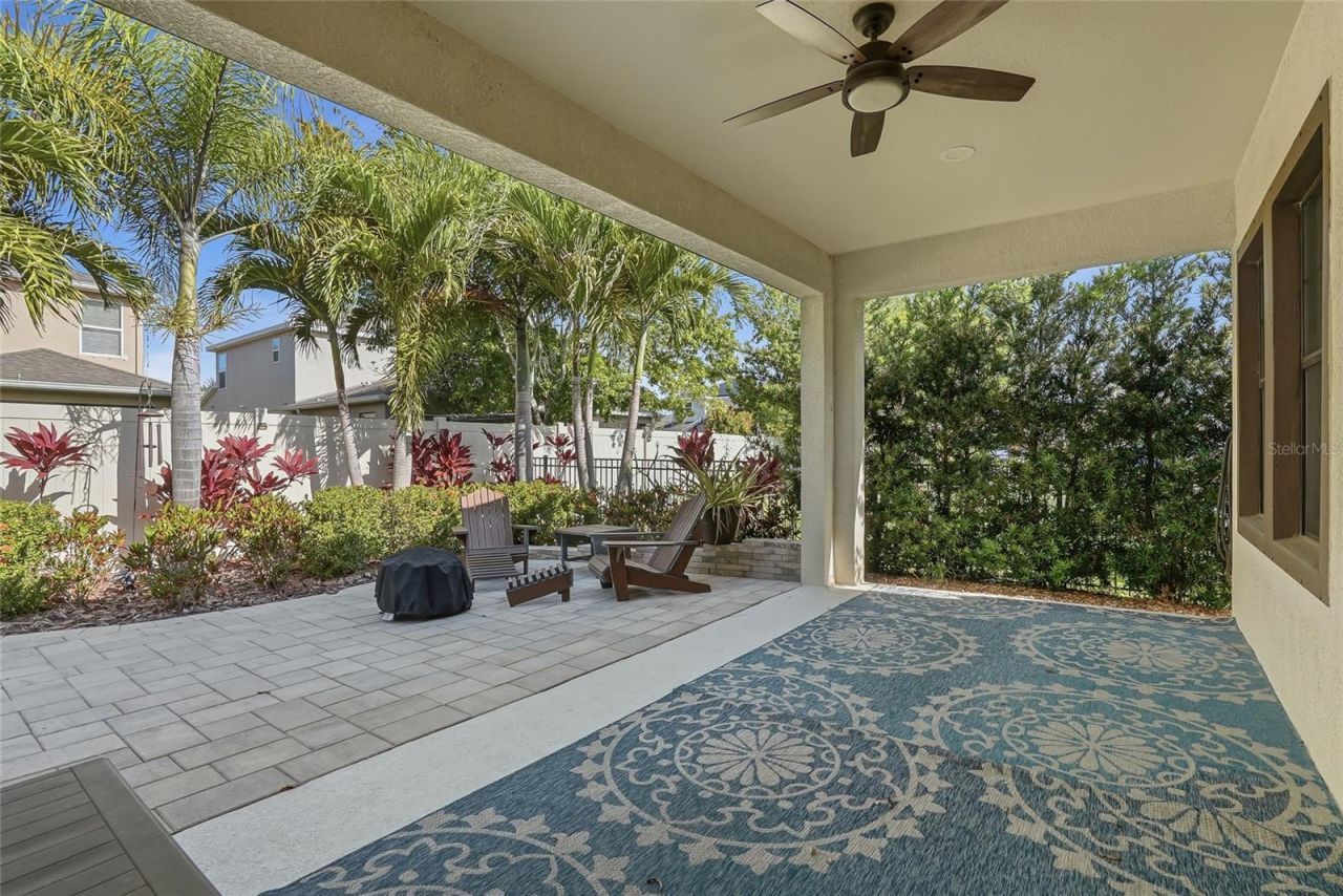 6318 Springline Place , Apollo Beach, FL 33572 Photo