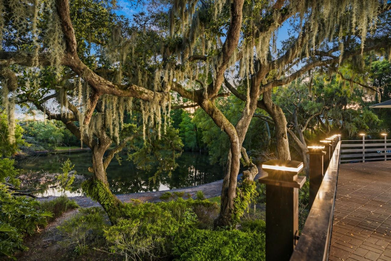 900 Oak Hollow Place, Brandon, FL 33510 Photo