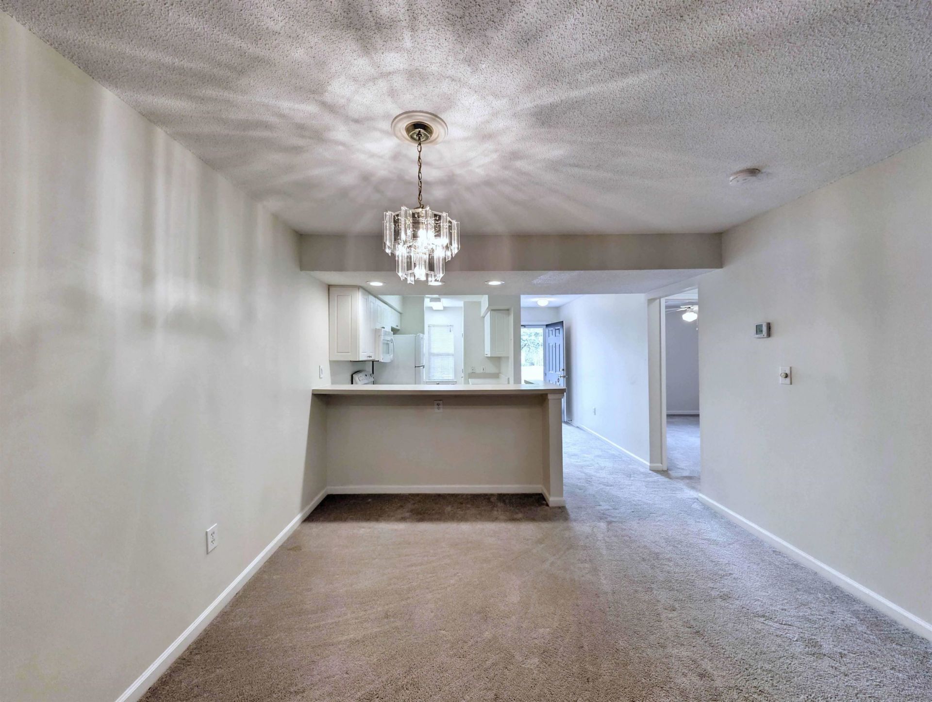 195 Egret Run Ln. Photo 11