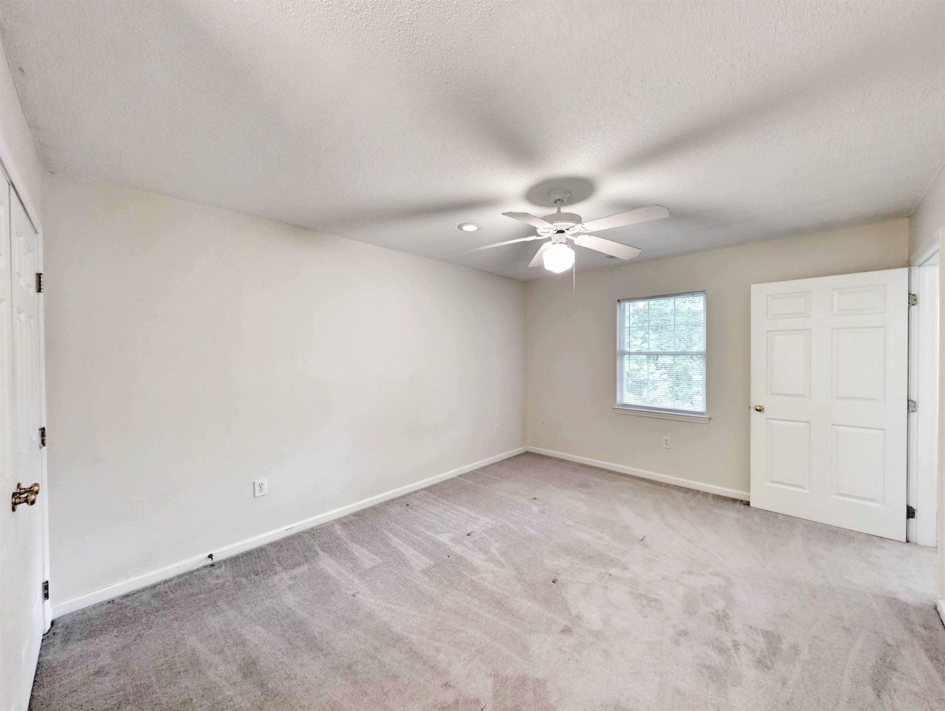 195 Egret Run Ln. Photo 22