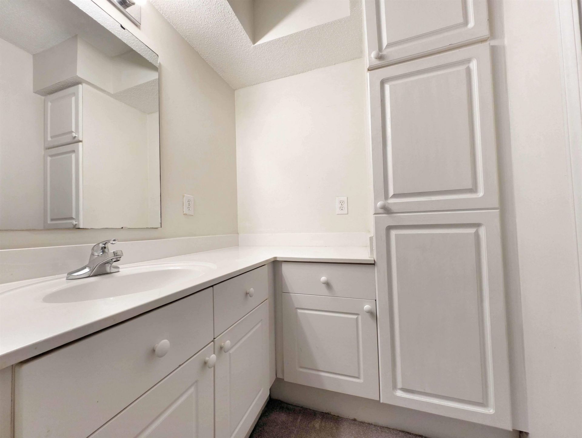 195 Egret Run Ln. Photo 25