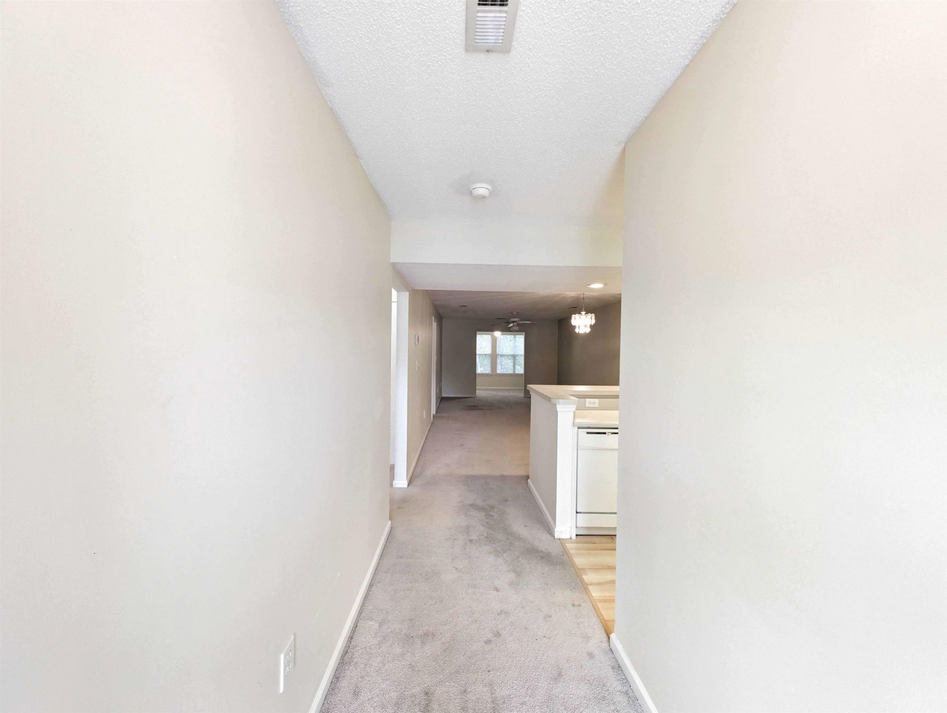 195 Egret Run Ln. Photo 7