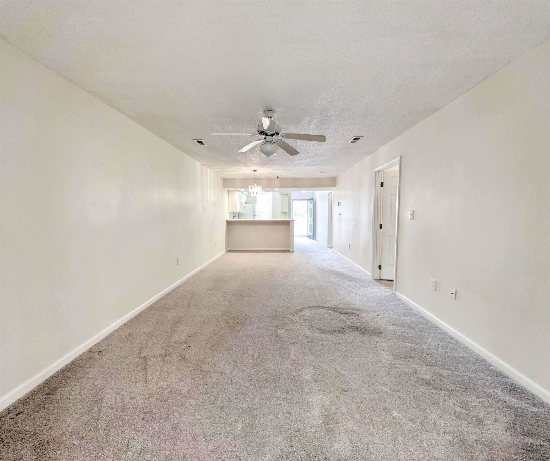 195 Egret Run Ln. Photo 8