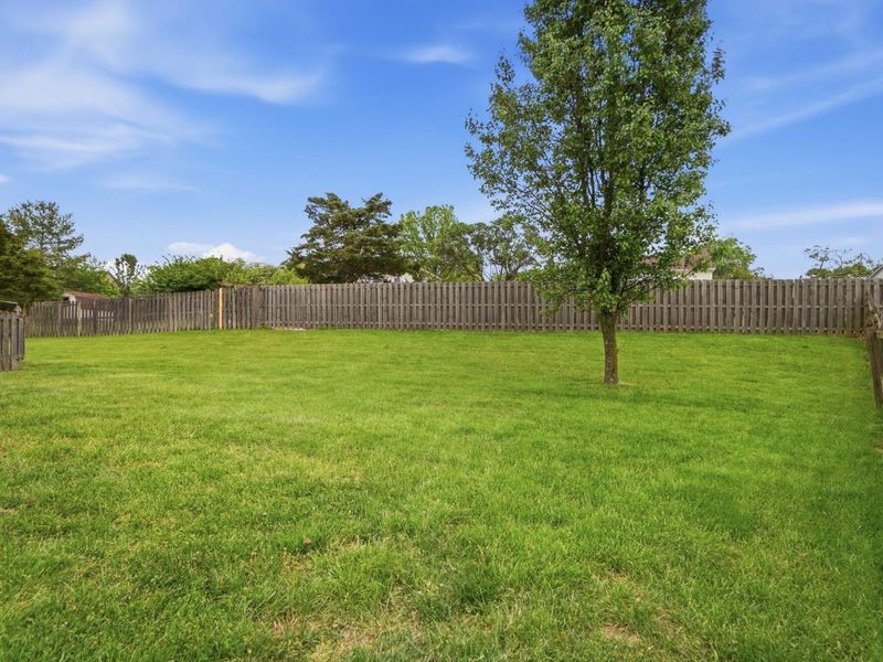 1229 Darvyville Drive, Florence, KY 41042 Photo 47