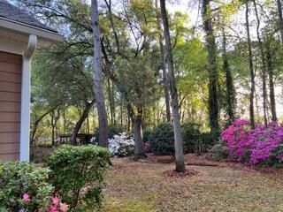 98 Marshside Drive Photo 47