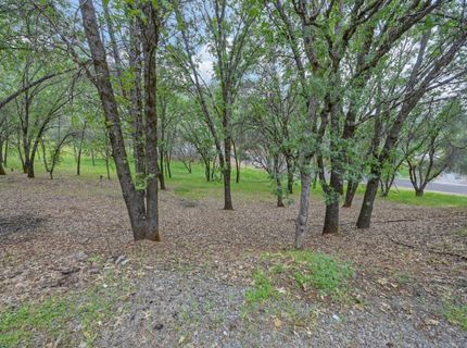 2101 Secret Diggin Ct, Cool, CA 95614 Photo