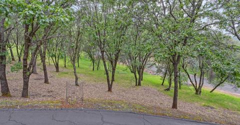 2101 Secret Diggin Ct, Cool, CA 95614 Photo