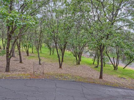 2101 Secret Diggin Ct, Cool, CA 95614 Photo