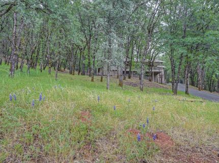 2101 Secret Diggin Ct, Cool, CA 95614 Photo