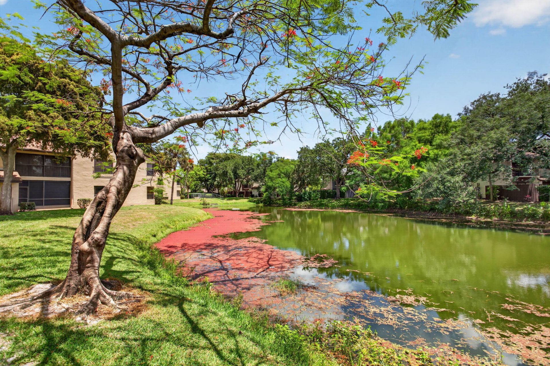 3713 Cocoplum Circle, Unit 3545, Coconut Creek, FL 33063 Photo