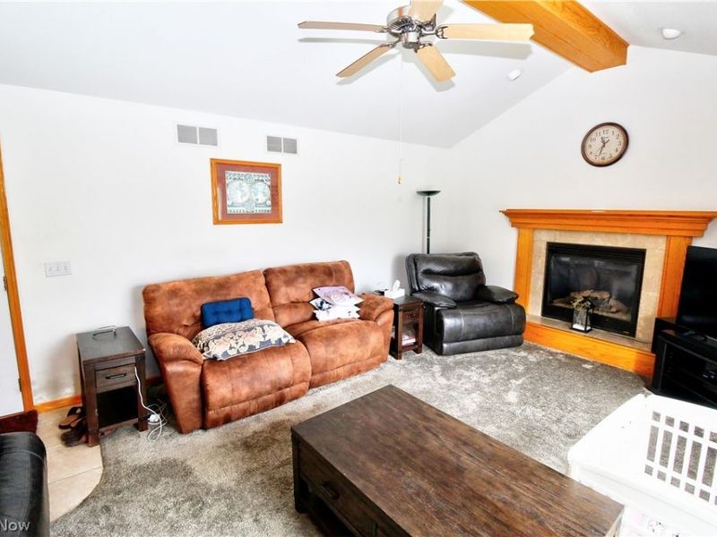 1177 Mulberry Run , Mineral Ridge, OH 44440 Photo 13