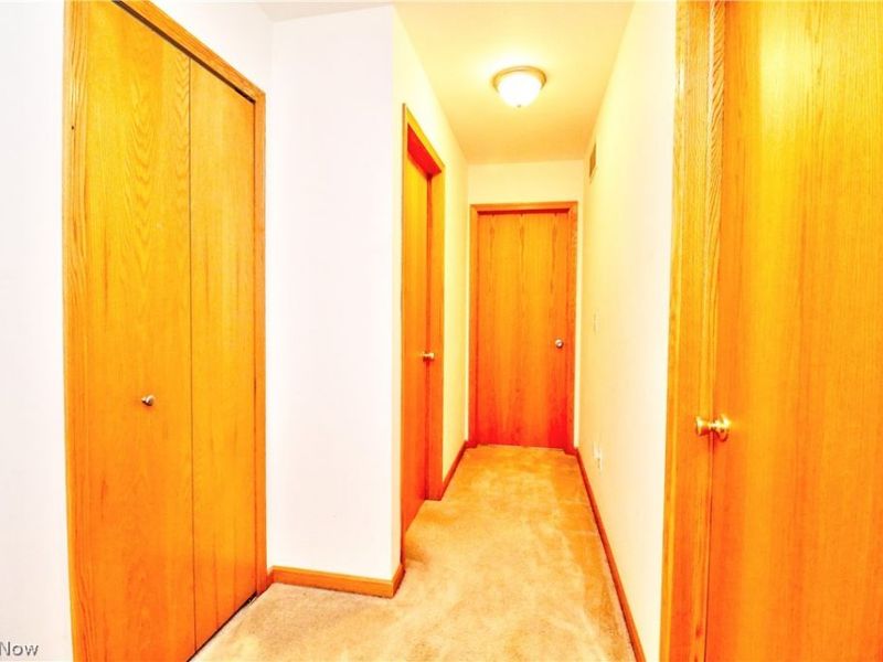 1177 Mulberry Run , Mineral Ridge, OH 44440 Photo 22