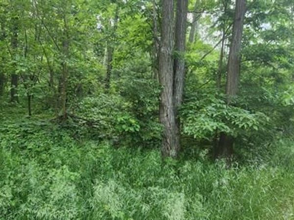 L7 Oakleaf Ln, Wisconsin Dells, WI 53965