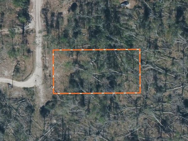 XXX 237th Road, Live Oak, FL 32060