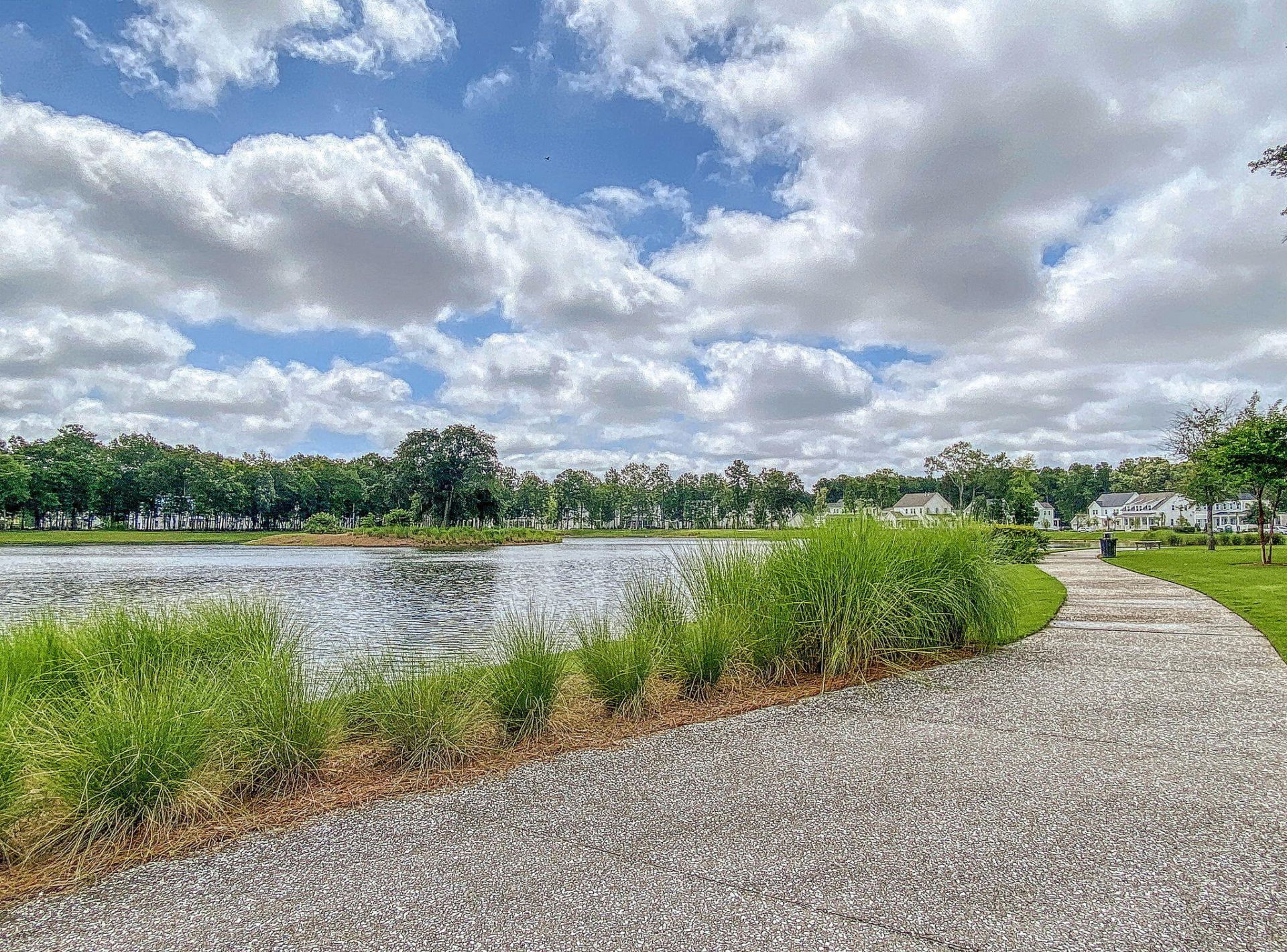 3651 Goodwater Street Photo 47