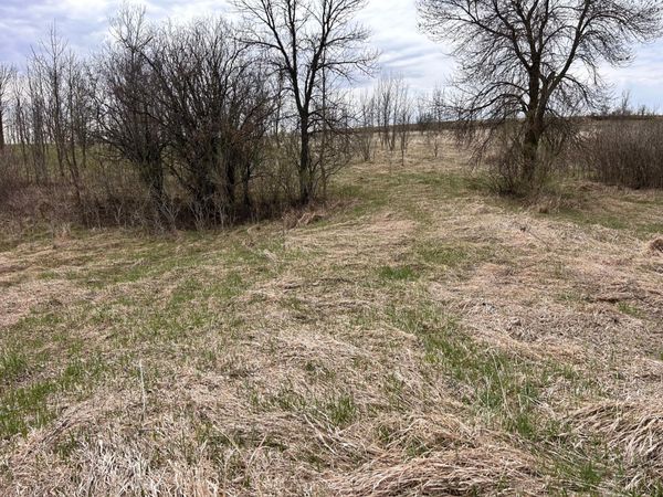 Lot 20 215th Street, Barrett, MN 56311