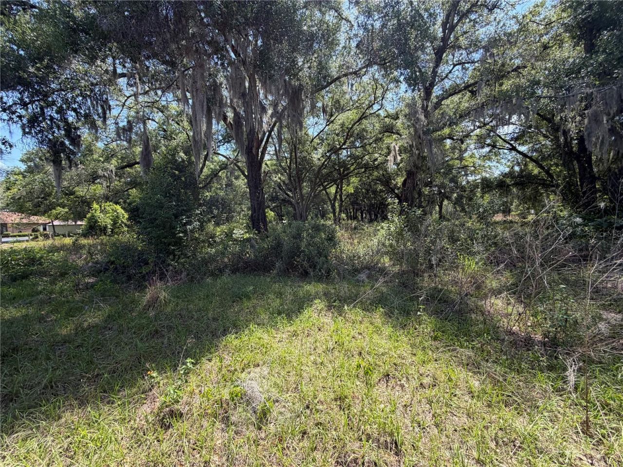 Dora Drive, Mount Dora, FL 32757 Photo