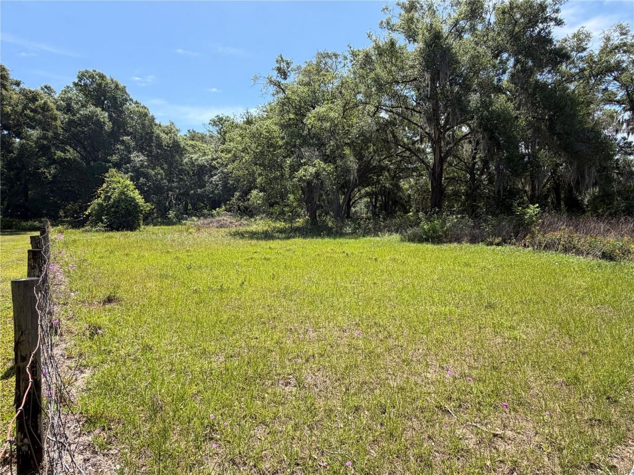 Dora Drive, Mount Dora, FL 32757 Photo