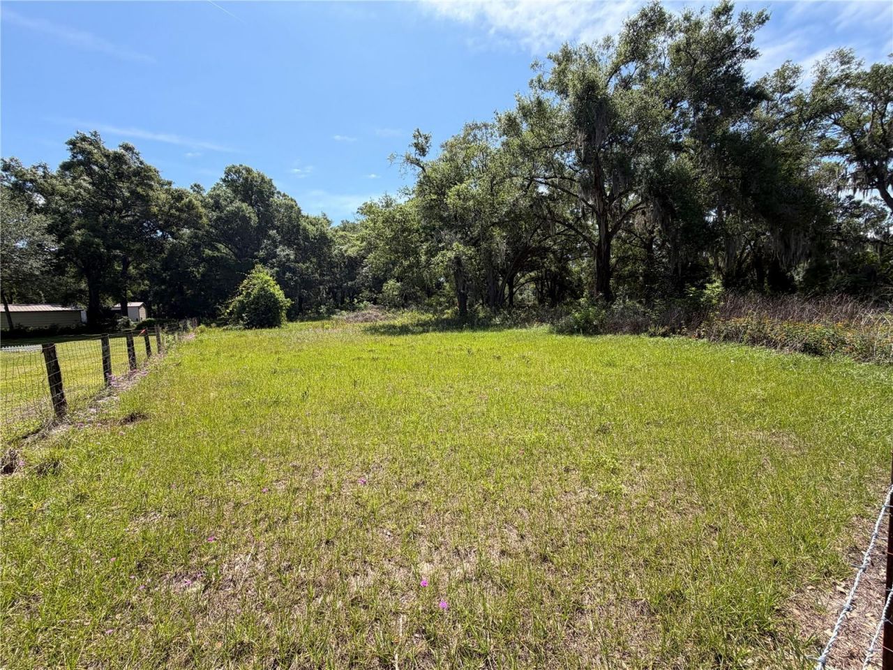 Dora Drive, Mount Dora, FL 32757 Photo