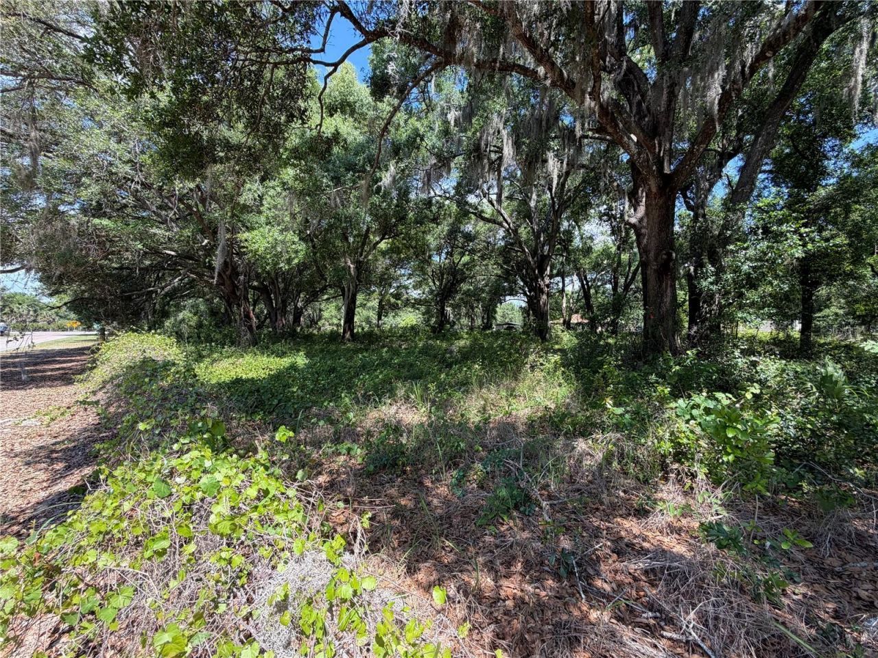 Dora Drive, Mount Dora, FL 32757 Photo