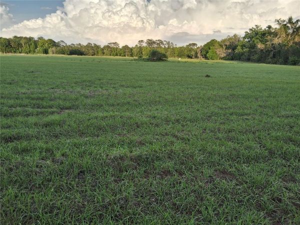 1613 NE 12TH AVENUE , SUMTERVILLE, FL 33585