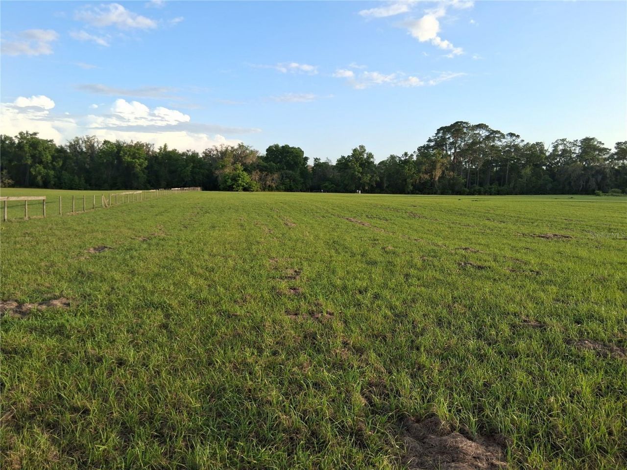 1613 NE 12th Avenue , Sumterville, FL 33585 Photo