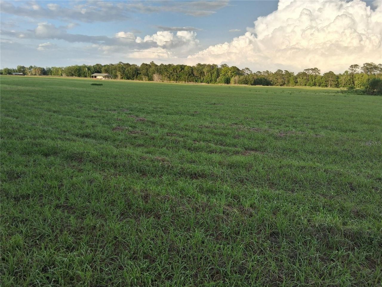 1613 NE 12th Avenue , Sumterville, FL 33585 Photo