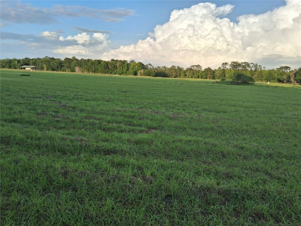 1613 NE 12th Avenue , Sumterville, FL 33585 Photo