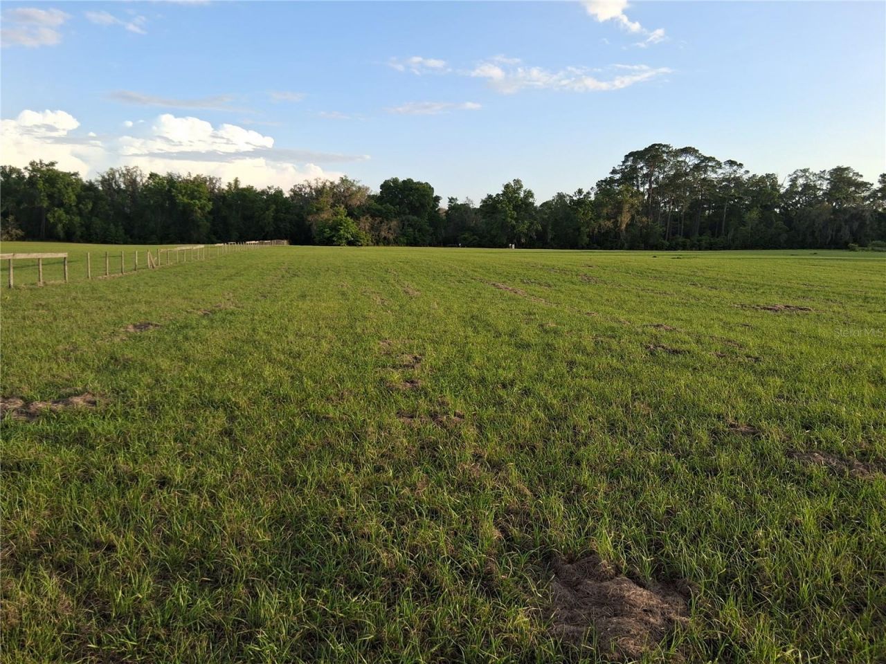 1613 NE 12th Avenue , Sumterville, FL 33585 Photo