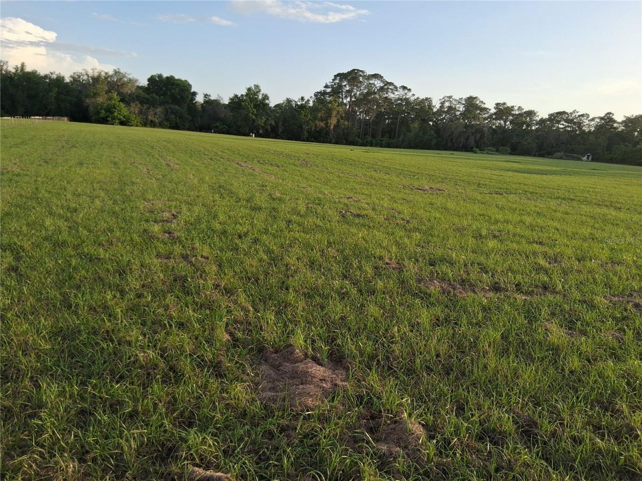 1613 NE 12th Avenue , Sumterville, FL 33585 Photo