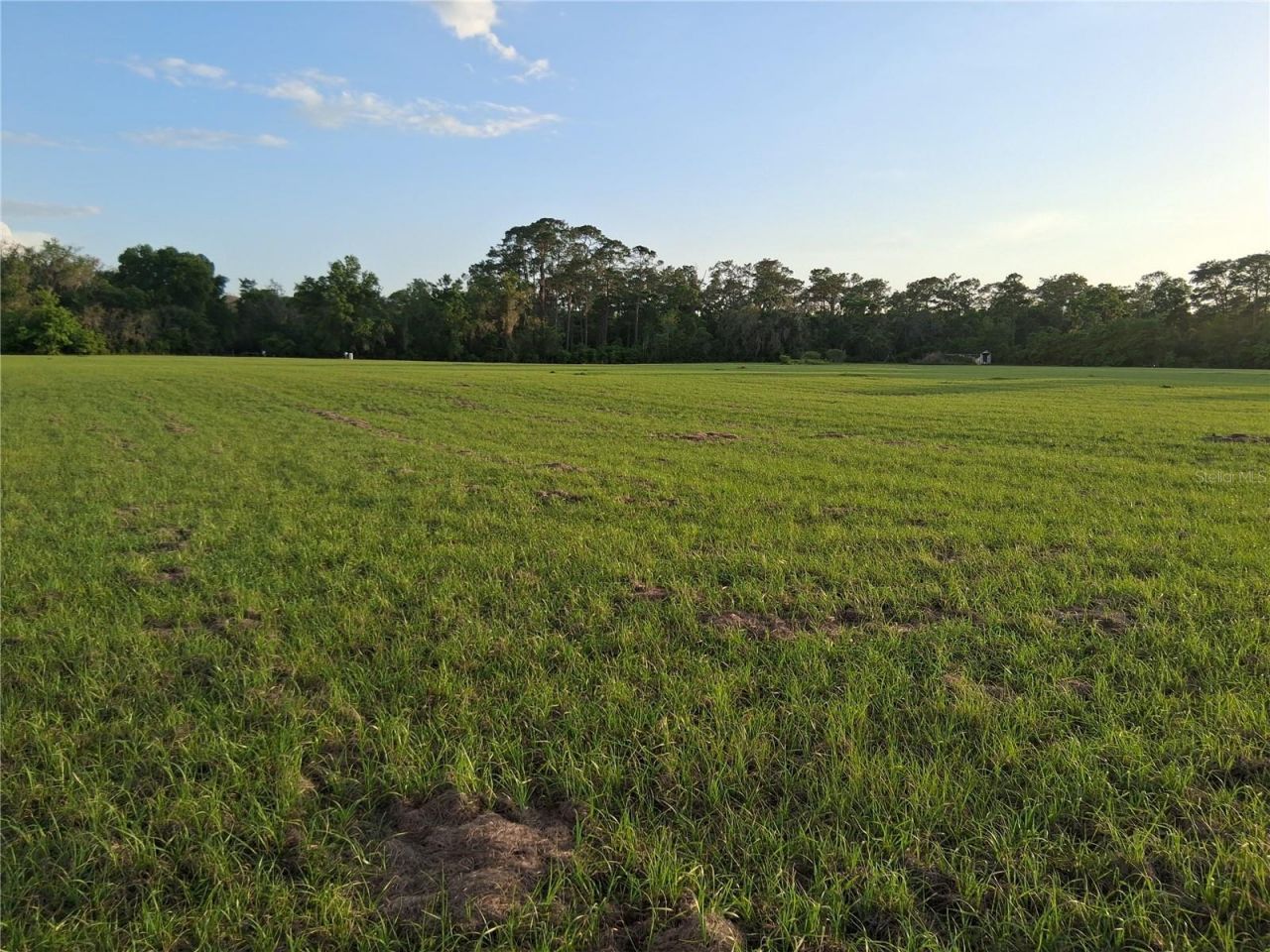 1613 NE 12th Avenue , Sumterville, FL 33585 Photo