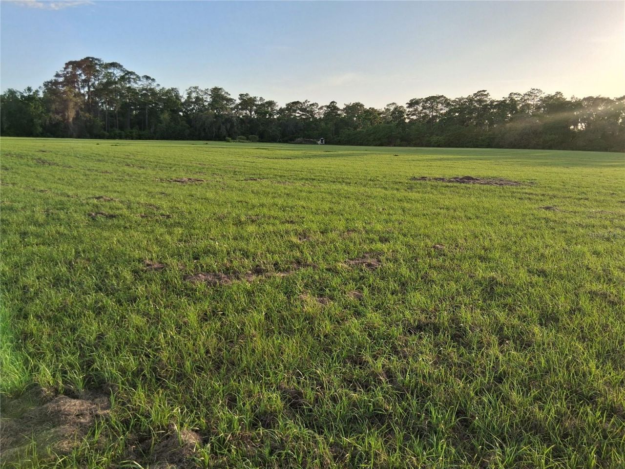 1613 NE 12th Avenue , Sumterville, FL 33585 Photo