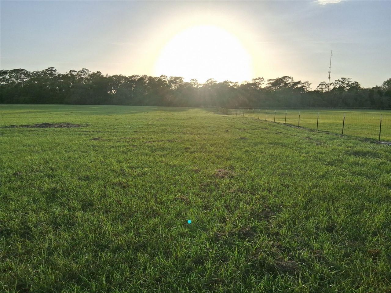 1613 NE 12th Avenue , Sumterville, FL 33585 Photo