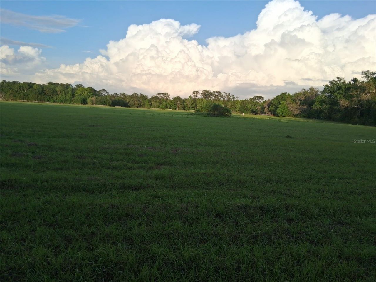 1613 NE 12th Avenue , Sumterville, FL 33585 Photo