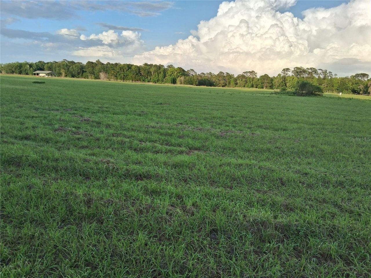 1613 NE 12th Avenue , Sumterville, FL 33585 Photo