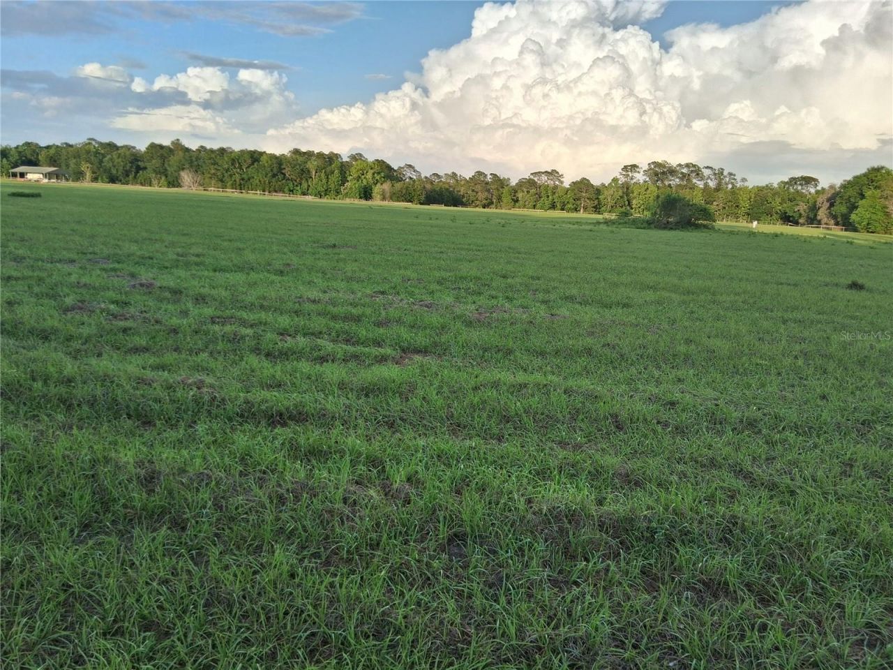 1613 NE 12th Avenue , Sumterville, FL 33585 Photo