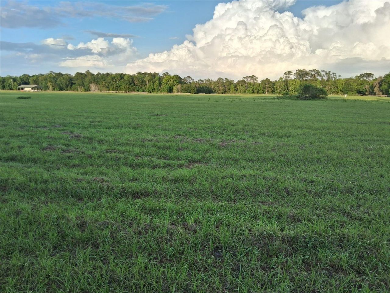 1613 NE 12th Avenue , Sumterville, FL 33585 Photo
