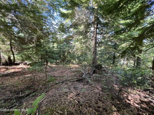 520 Alpine Dr, Fernwood, ID 83830