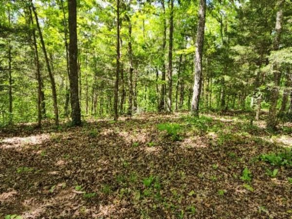10.13ac Forest Trails, Celina, TN 38551