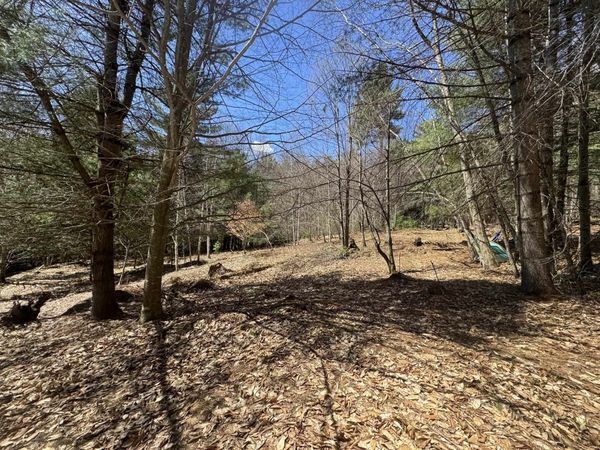4 & 5 Haley Drive, Unit Lot 4 & Lot 5, Hyde Park, VT 05655
