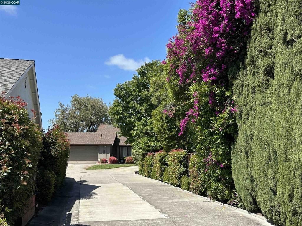 4864 Shadowfalls Dr, Martinez, CA 94553 Main Photo