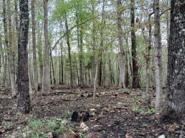 6512 County Road 3850 , Peace Valley, MO 65788