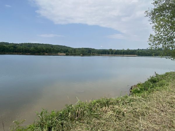 269 Hardin Bottom River Road , Clifton, TN 38425